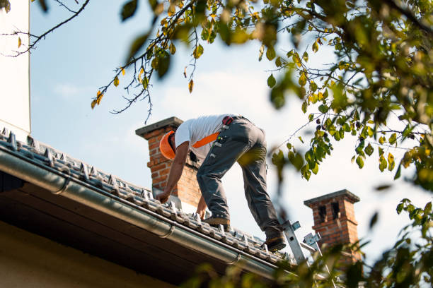 Best Emergency Roof Repair  in Teviston, CA