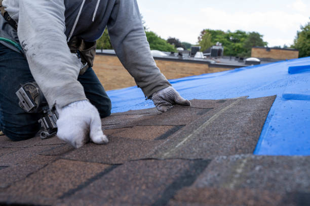 Best Roof Maintenance Services  in Teviston, CA