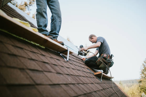 Quick and Trustworthy Emergency Roof Repair Services in Teviston, CA