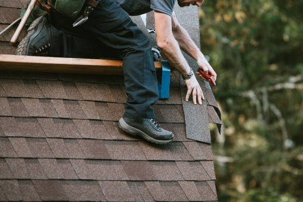 Roof Gutter Cleaning in Teviston, CA